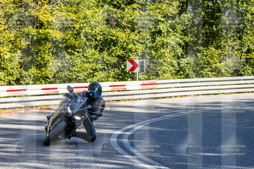 IMG_3786 | jrph - Realisiert mit Pictrs.com