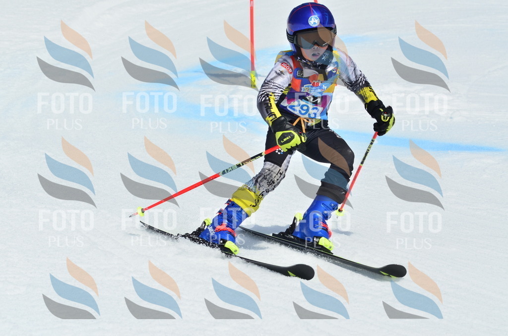 _ELE2096 | holidayphoto