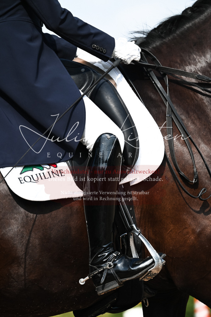 DSC_3146 | Pferde- und Turnierfotografie in Westsachsen. Pferdeportraits, Auftragszeichnungen und intuitive Kunst.
