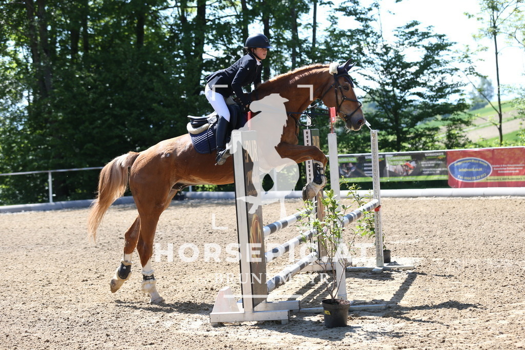 DL2Q0824 | Willkommen bei Brunnmayr - Design & Fotografie – Ihrem Spezialisten für Reitturniere und Pferdeveranstaltungen in Oberösterreich, Salzburg und Bayern! Seit über 17 Jahren sind wir leidenschaftlich dabei.