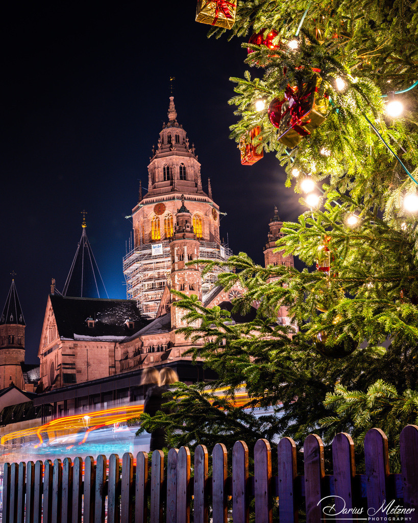 Der Mainzer Dom mit dem Weihnachtsbaum vor dem Staatstheater | Der Mainzer Dom mit dem Weihnachtsbaum vor dem Staatstheater in Mainz