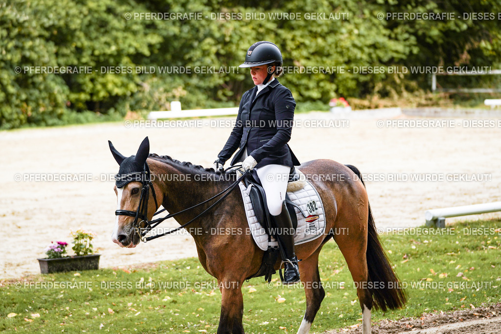 DSC02955 | Pferdegrafie