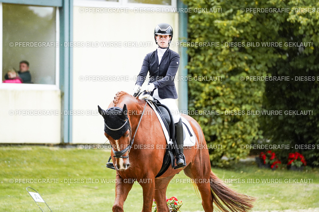 DSC00496 | Pferdegrafie