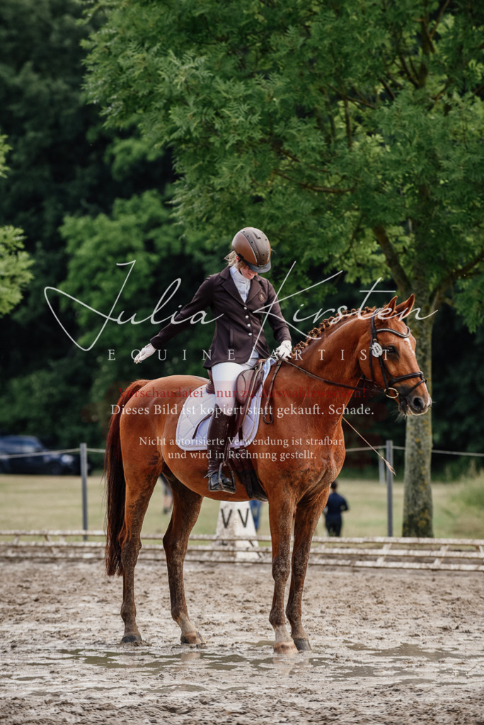 DSC_9723 | Pferde- und Turnierfotografie in Westsachsen. Pferdeportraits, Auftragszeichnungen und intuitive Kunst.