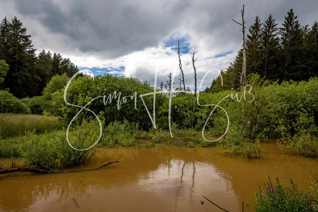 Moor bei Lengenbach | simonsuess - Realisiert mit Pictrs.com