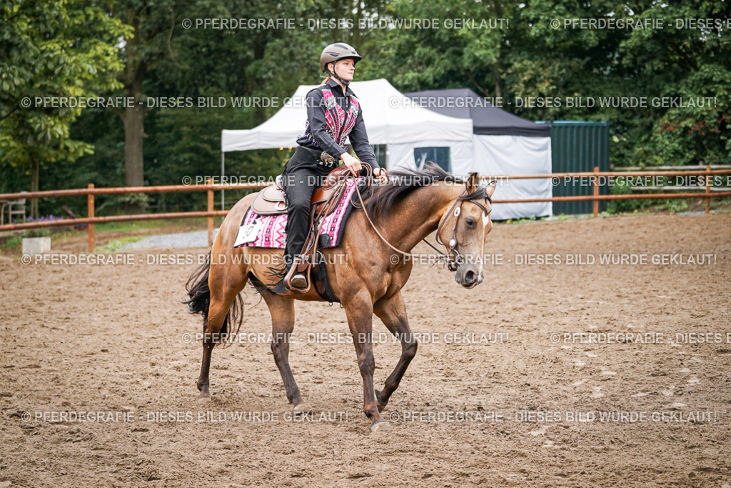 DSC02533 | Pferdegrafie