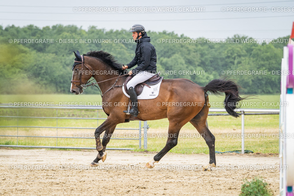 DSC02918 | Pferdegrafie