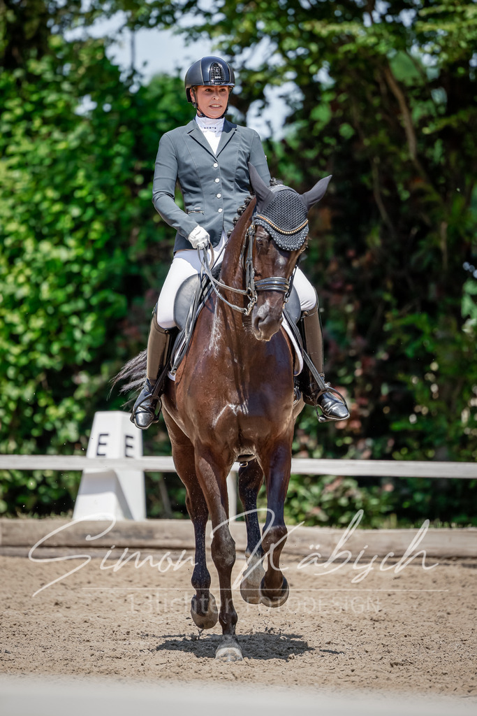 20250621-_3LI8299 | Tierfotografie Pferde, Hunde, Katzen, Haustiere.
Turnierfotografie Reitturniere, Reiten, Springreiten, Dressur in Hanau, dem Main-Kinzig-Kreis und dem Rhein-Main- Gebiet um Frankfurt
