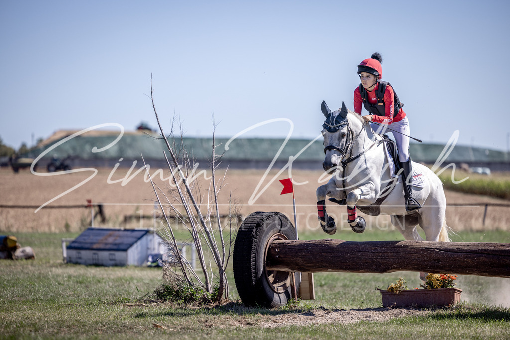 20260906-_3LI3065 | Tierfotografie Pferde, Hunde, Katzen, Haustiere.
Turnierfotografie Reitturniere, Reiten, Springreiten, Dressur in Hanau, dem Main-Kinzig-Kreis und dem Rhein-Main- Gebiet um Frankfurt