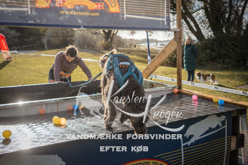 0957_ZZ99468 | kk-dogfotos