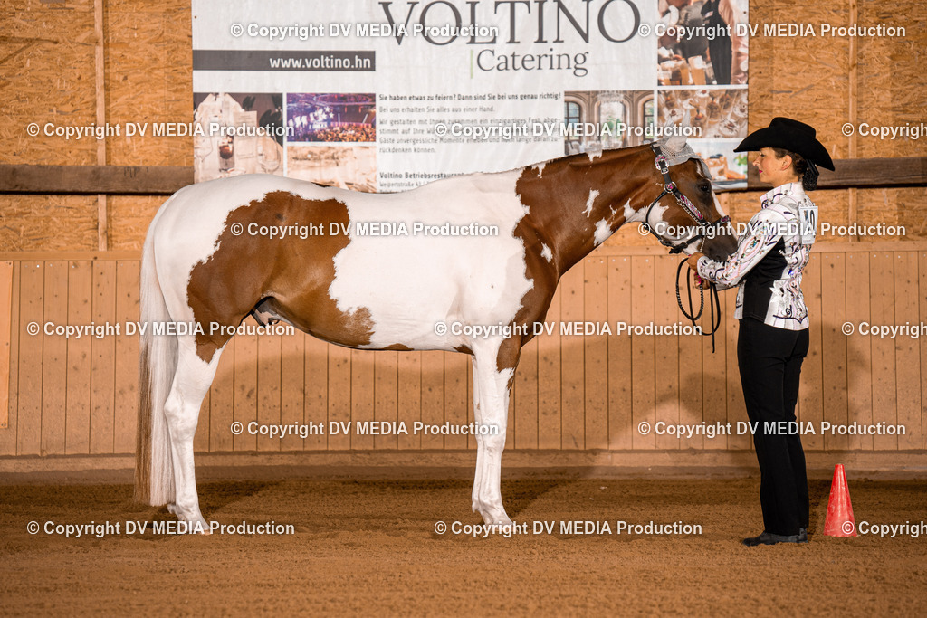 NE100071 | dv-media-shop - Realisiert mit Pictrs.com