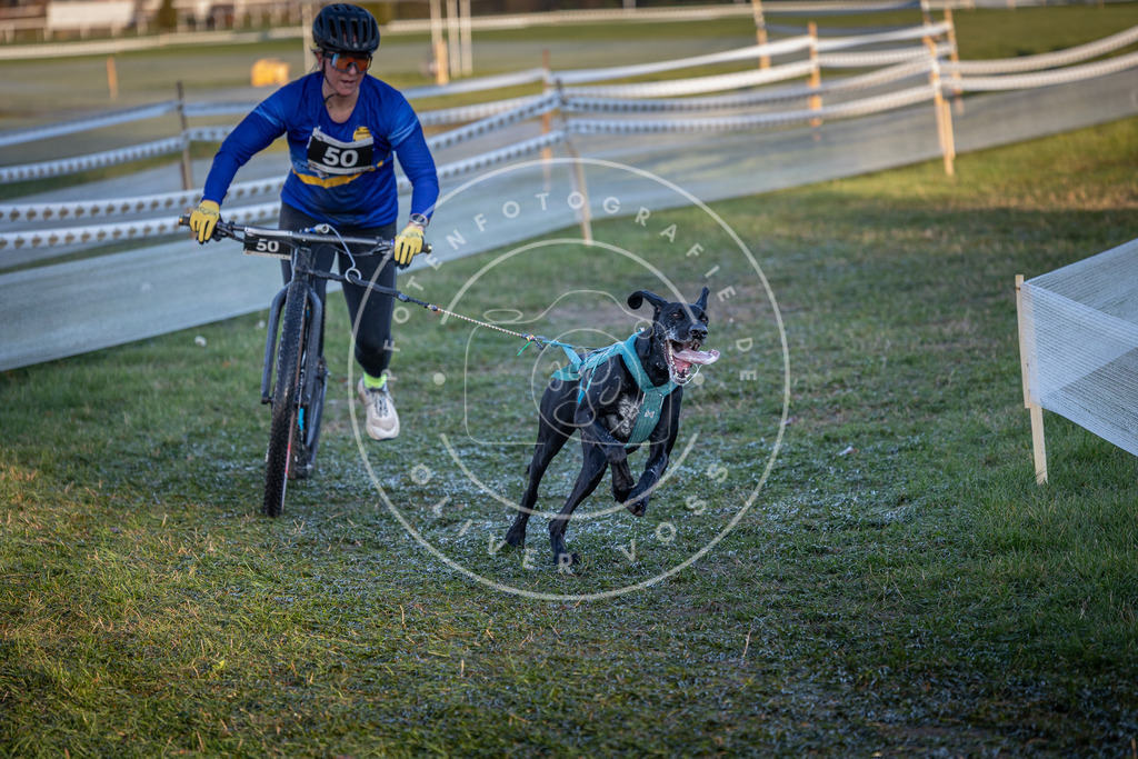 CaniXpix_0L8A2510 | Hundefotografie, Tierfotograf, Pfotenfotografie, Fotoshooting Hund, Hunde Portrait, Hundesport, Hundeportraits, Heideshooting, Hunde, Sportfotograf, Hundefotograf, Turnierhundsport, THS,  - Realisiert mit Pictrs.com