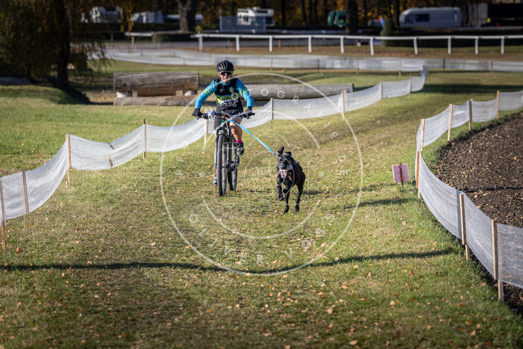 CaniXpix_DV3A4613 | Hundefotografie, Tierfotograf, Pfotenfotografie, Fotoshooting Hund, Hunde Portrait, Hundesport, Hundeportraits, Heideshooting, Hunde, Sportfotograf, Hundefotograf, Turnierhundsport, THS,  - Realisiert mit Pictrs.com