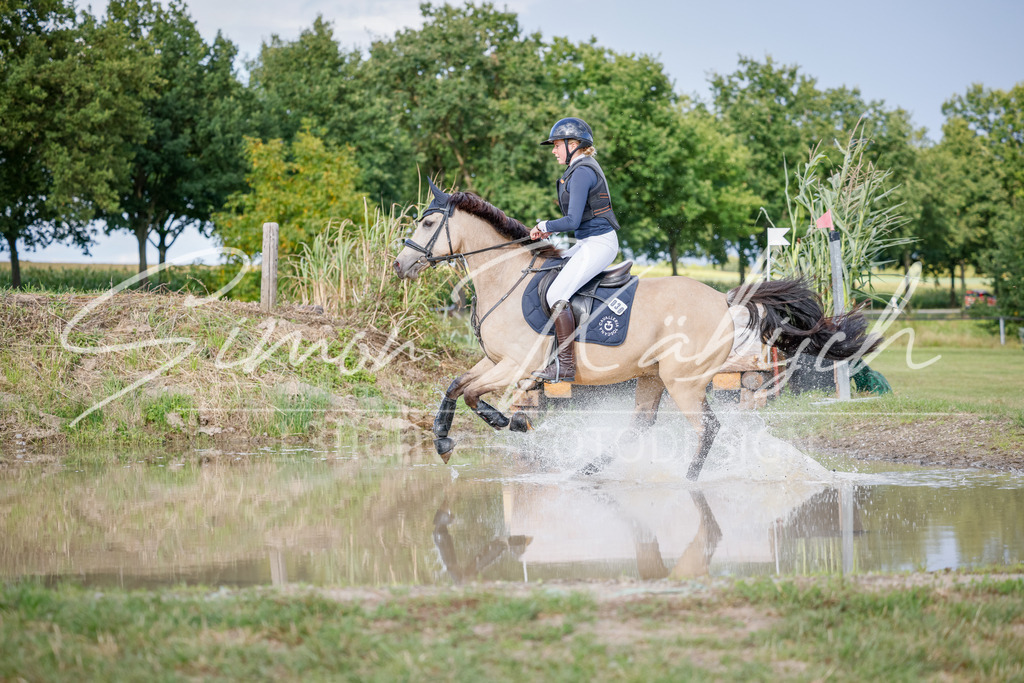 20250905-_3LI1881 | Tierfotografie Pferde, Hunde, Katzen, Haustiere.
Turnierfotografie Reitturniere, Reiten, Springreiten, Dressur in Hanau, dem Main-Kinzig-Kreis und dem Rhein-Main- Gebiet um Frankfurt