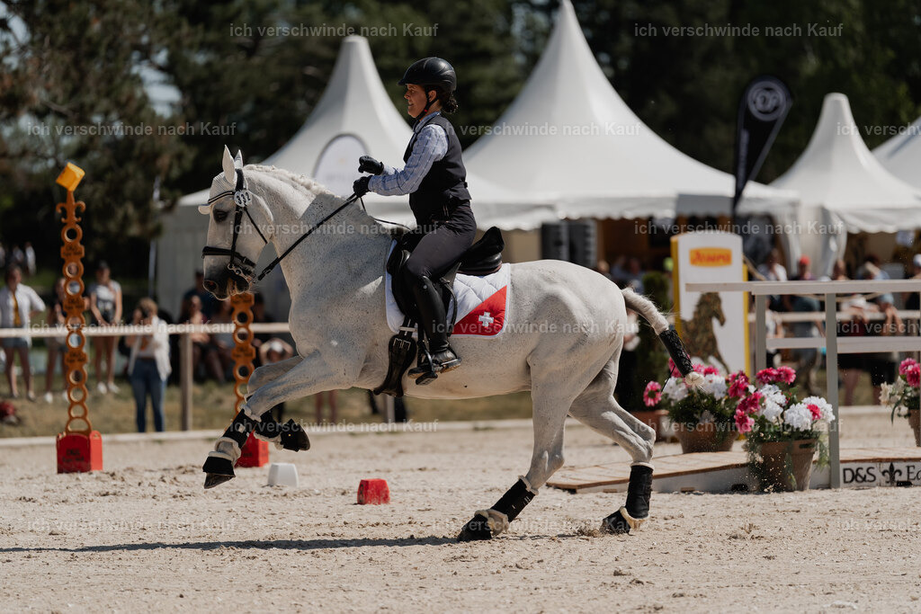 _DSC5508 | Pferd International München 2025