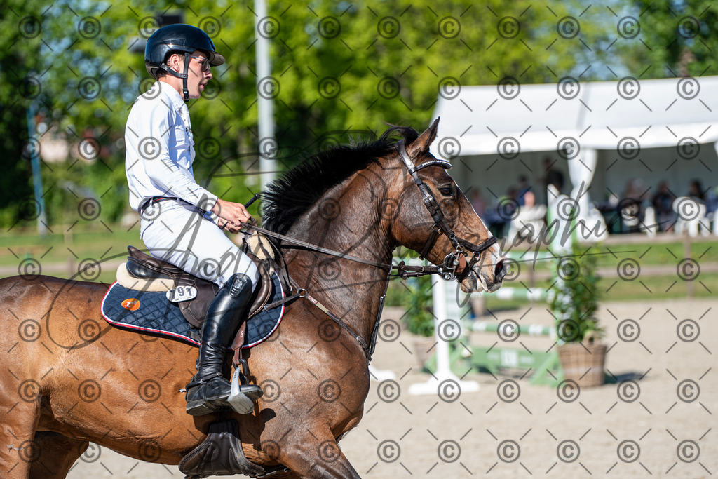 KPT_1691 | andre_photographic