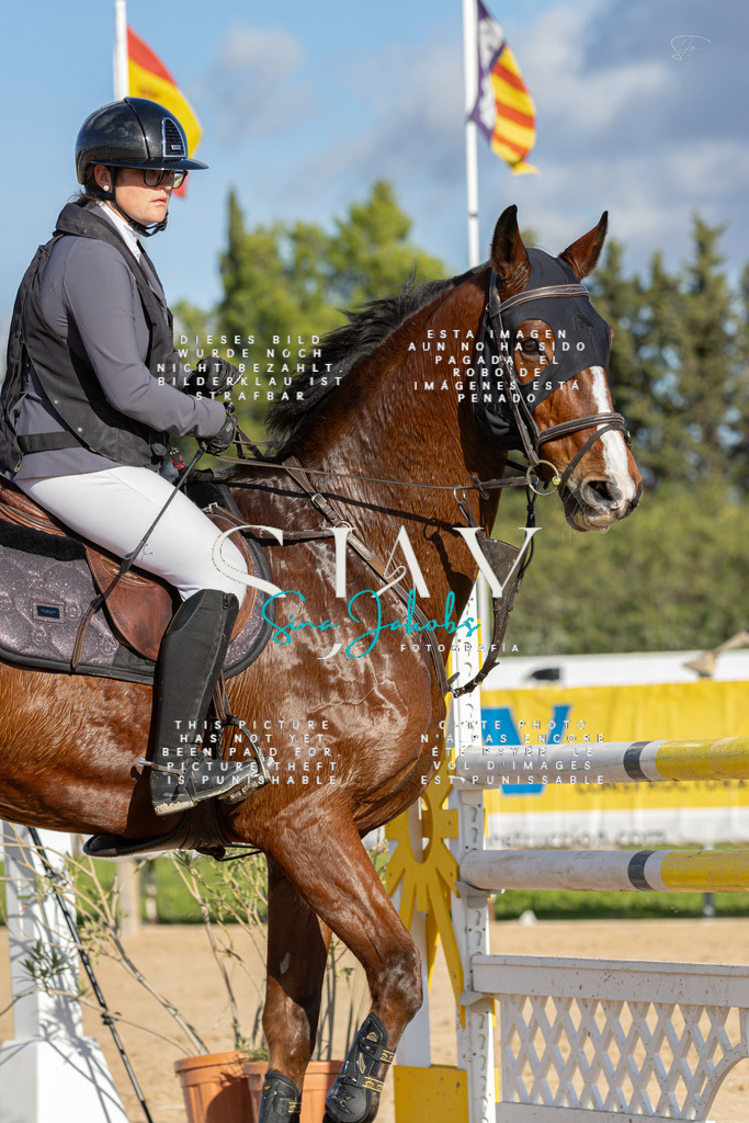 IMG_8042 | s-jay-photography - Realisiert mit Pictrs.com