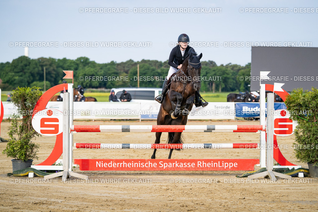 DSC02468 | Pferdegrafie