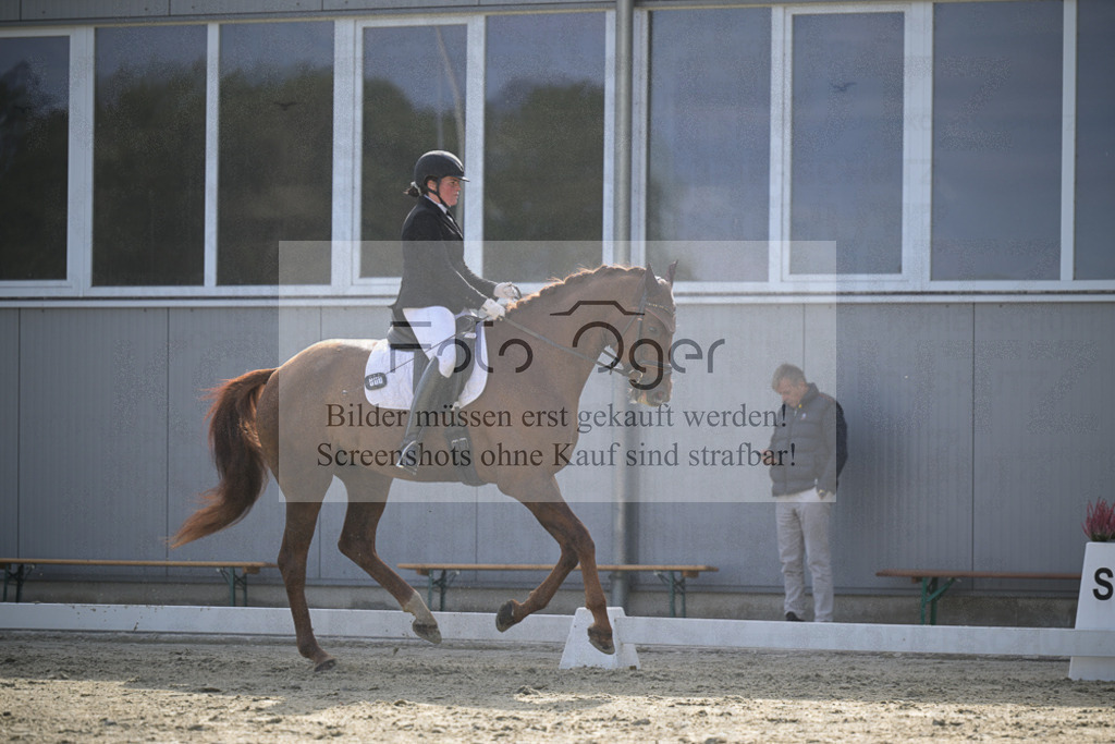 DOS_2738 | Entdecke hochwertige Reitturnierfotos von Foto Oger. Professionell, emotional und authentisch – jetzt Lieblingsmomente im Shop bestellen.Deutschlandweite Turnierfotografie. - Realisiert mit Pictrs.com