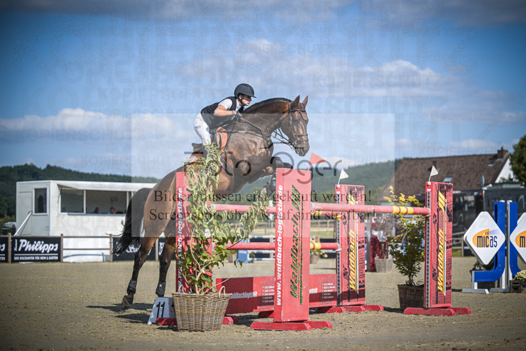 DOS_0088 | Entdecke hochwertige Reitturnierfotos von Foto Oger. Professionell, emotional und authentisch – jetzt Lieblingsmomente im Shop bestellen.Deutschlandweite Turnierfotografie. - Realisiert mit Pictrs.com