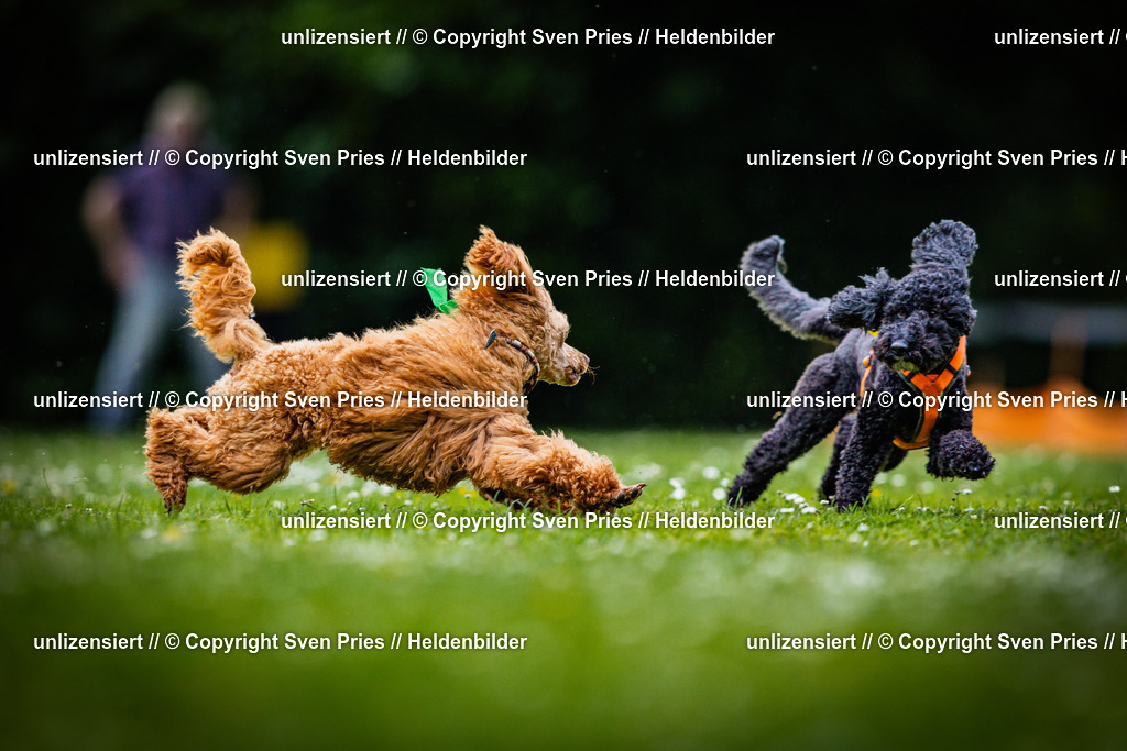 Sven Pries | 2025-05-29 - Pudelrennen KA-Durlach - Realisiert mit Pictrs.com