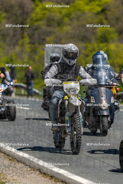 MSFotoServiceXXX436 | MSFotoService - Realisiert mit Pictrs.com