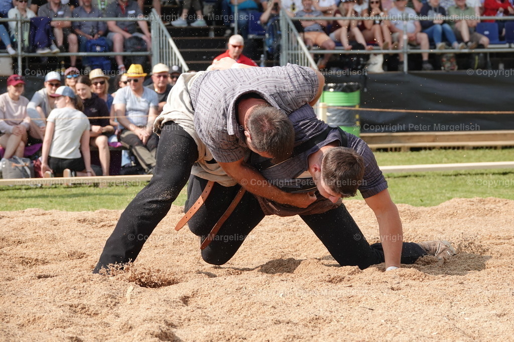 DSC04519 | Schwingen - Realisiert mit Pictrs.com