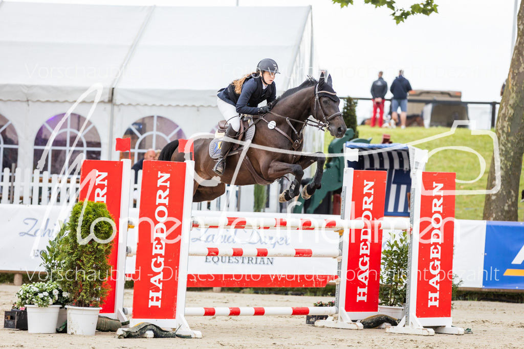 BHO-2PhSpr-M-102 | MomenTaufnahmen Pferdesportfotos