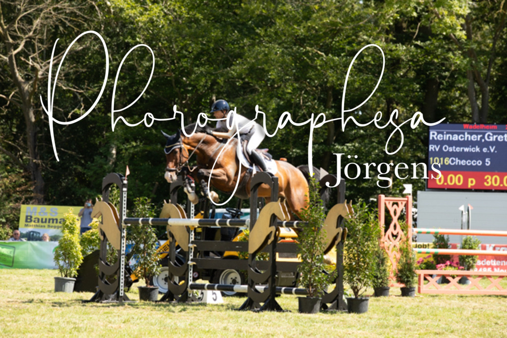 IMG_9158 | photographesa-joergens - Realisiert mit Pictrs.com