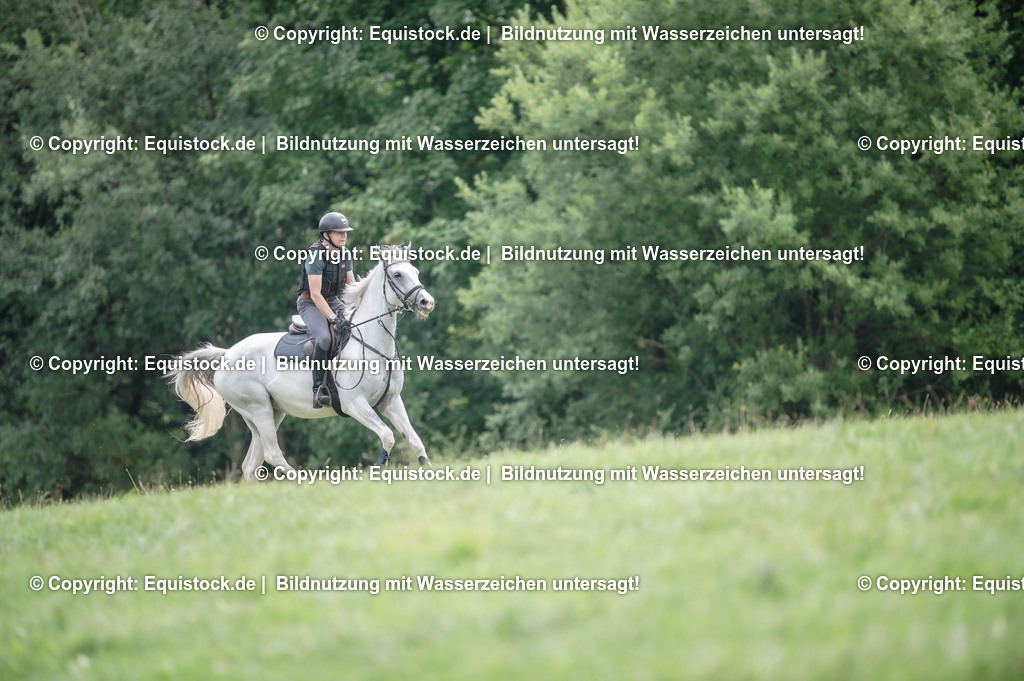 20250726_Vielseitigkeitslehrgang-Marbach_0597 | Foto: Thomas Hartig