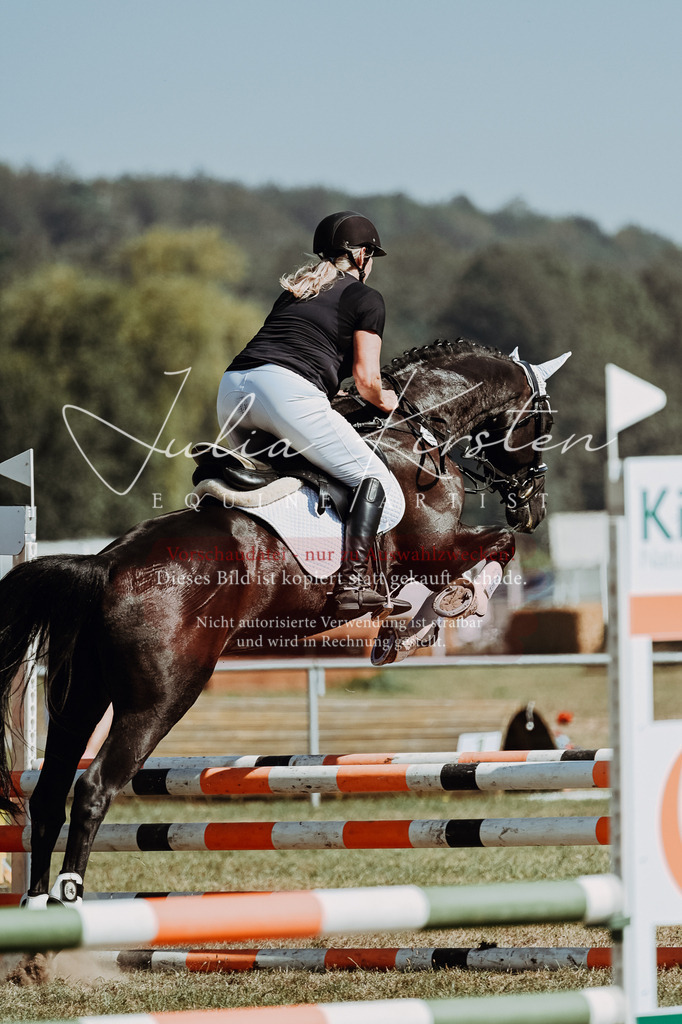 DSC_9722 | Pferde- und Turnierfotografie in Westsachsen. Pferdeportraits, Auftragszeichnungen und intuitive Kunst.