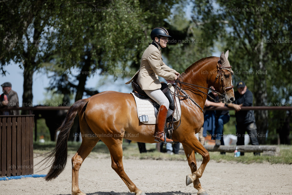 KlasseM_stoibphotography_C2_C9301.CR3 | working equitationturnier fotograf videograf stoibphotography marixx film working equitation deutschland reitsport turnierfotografie eventfotografie equestrian events
