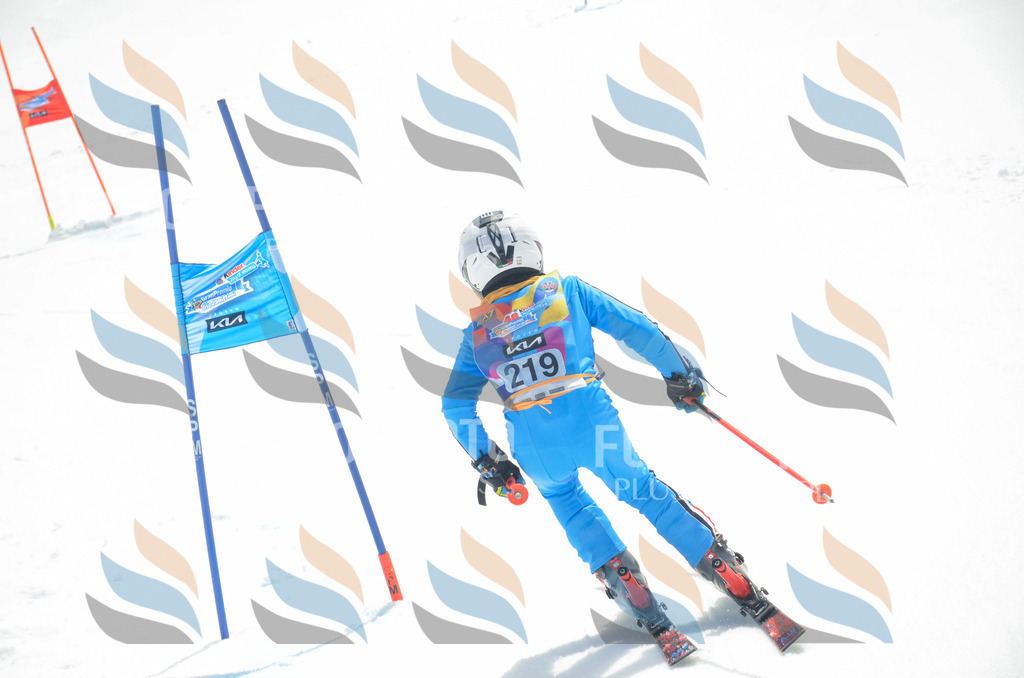 _ELE7164 | holidayphoto