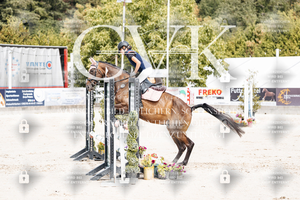 CK906684 | Turnierfotografie Pferdefotografie Trier Rheinland-Pfalz Pferdesport Reitsport Tierfotografie Sportfotografie Pferdevideo Pferdevideografie Equestrianvideography equestrianphotography  - Realisiert mit Pictrs.com