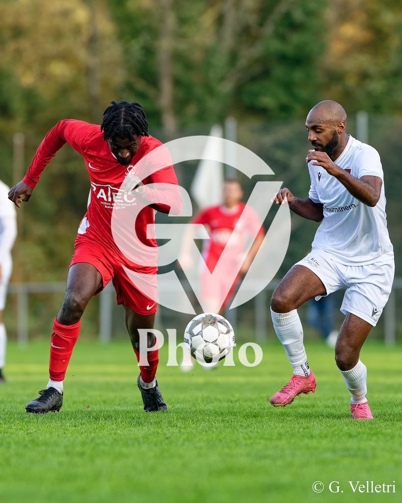 DZ8_9302 | Velletri Photo