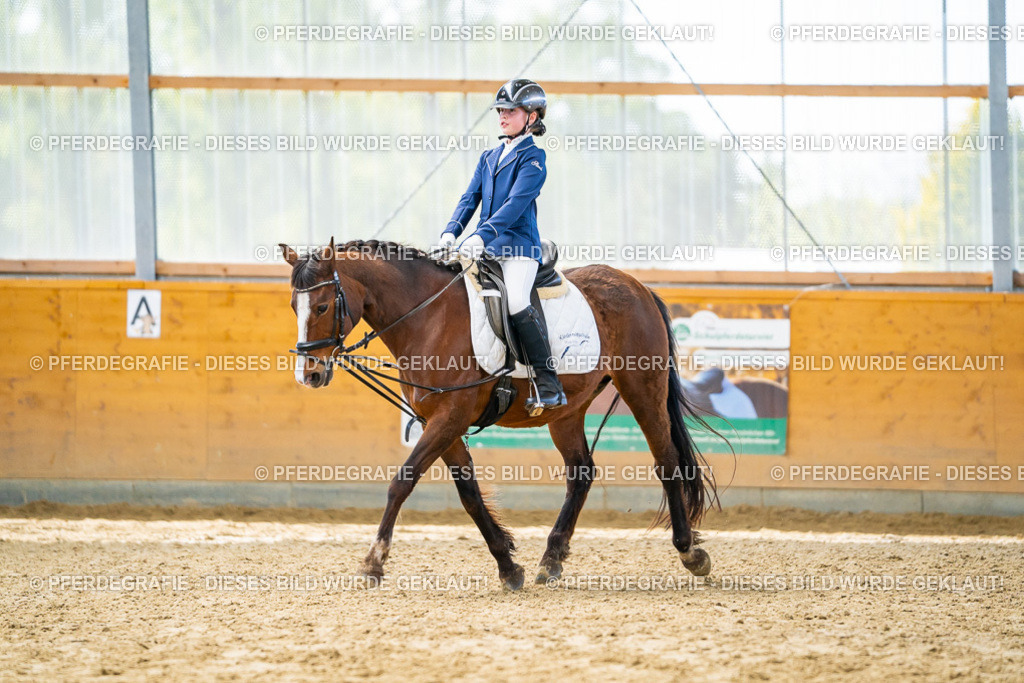 DSC00972 | Pferdegrafie