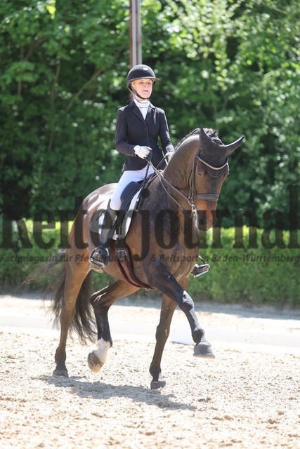 Böblingen_2025_Prfg.Nr.08_Dressurprüfung_Kl.M_Nürnberger Burgpokal_Allegra Elisabeth Hüttig_Impala VIP (13) | Alle Fotos der Reiterjournal Fotografin Doris Matthaes im Reiterjournal Online-Fotoshop. - Realisiert mit Pictrs.com