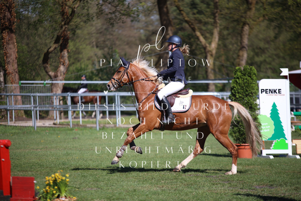 IMGT0522 | pl-fotografie