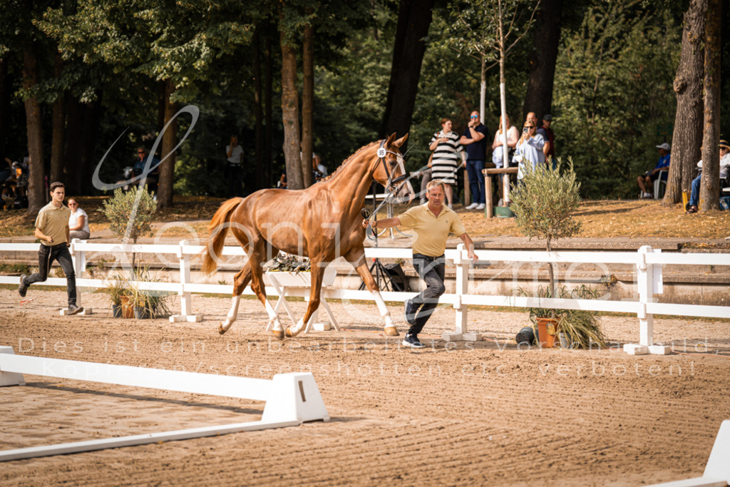 FrER00073 | Leoni Ertmer Photography - Realisiert mit Pictrs.com