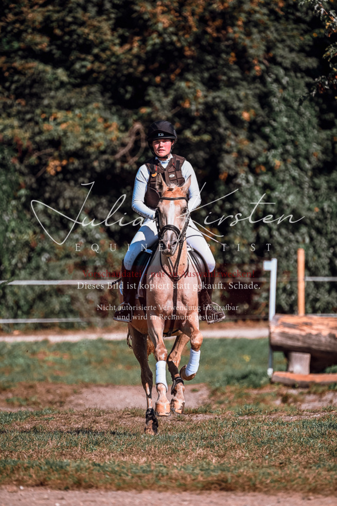DSC_1133 | Pferde- und Turnierfotografie in Westsachsen. Pferdeportraits, Auftragszeichnungen und intuitive Kunst.