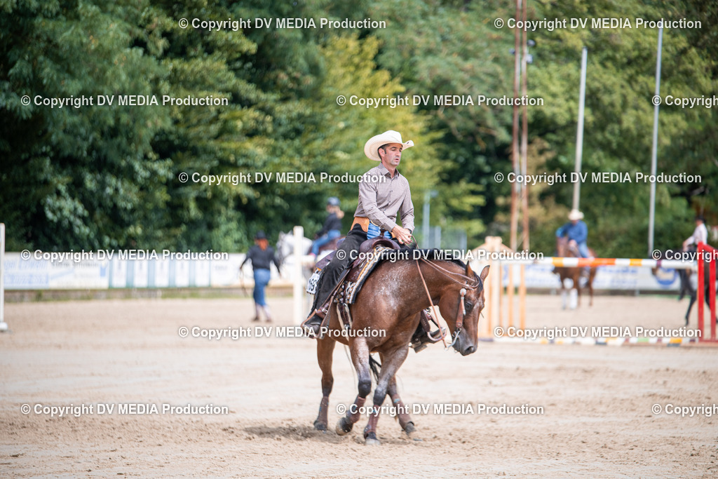 ZS3_5290 | dv-media-shop - Realisiert mit Pictrs.com