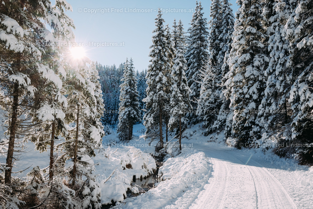 Winterlandschaft Mariazellerland 11122020-0117 | Fotos und Fotoprodukte - Realisiert mit Pictrs.com