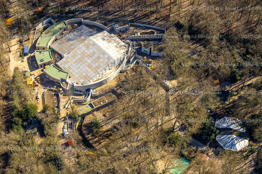 Dortmund250300687 | Luftbild, Zoo Dortmund, Baustelle mit Neubau Robbenanlage, Rombergpark-Lücklemberg, Dortmund, Ruhrgebiet, Nordrhein-Westfalen, Deutschland