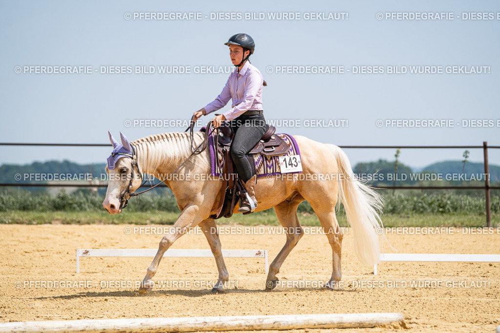 DSC01094 | Pferdegrafie