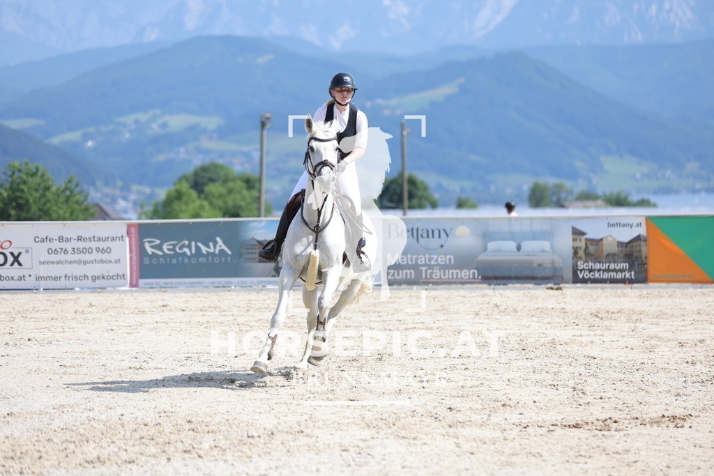 0P6A0657 | Willkommen bei Brunnmayr - Design & Fotografie – Ihrem Spezialisten für Reitturniere und Pferdeveranstaltungen in Oberösterreich, Salzburg und Bayern! Seit über 17 Jahren sind wir leidenschaftlich dabei.