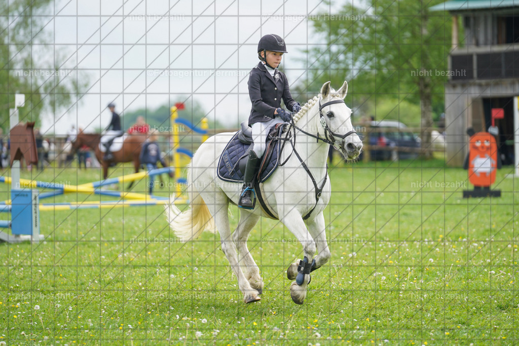 20240509-FAH02481 | Turnierbilder der Turnierfotografen Bayern, Pferdesport Fotografie, Reitsportbilder, Turnier Landberg am Lech, Turnierbilder bayern, Fotoagentur Herrmann