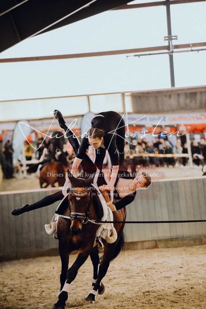 DSC_6900 | Pferde- und Turnierfotografie in Westsachsen. Pferdeportraits, Auftragszeichnungen und intuitive Kunst.