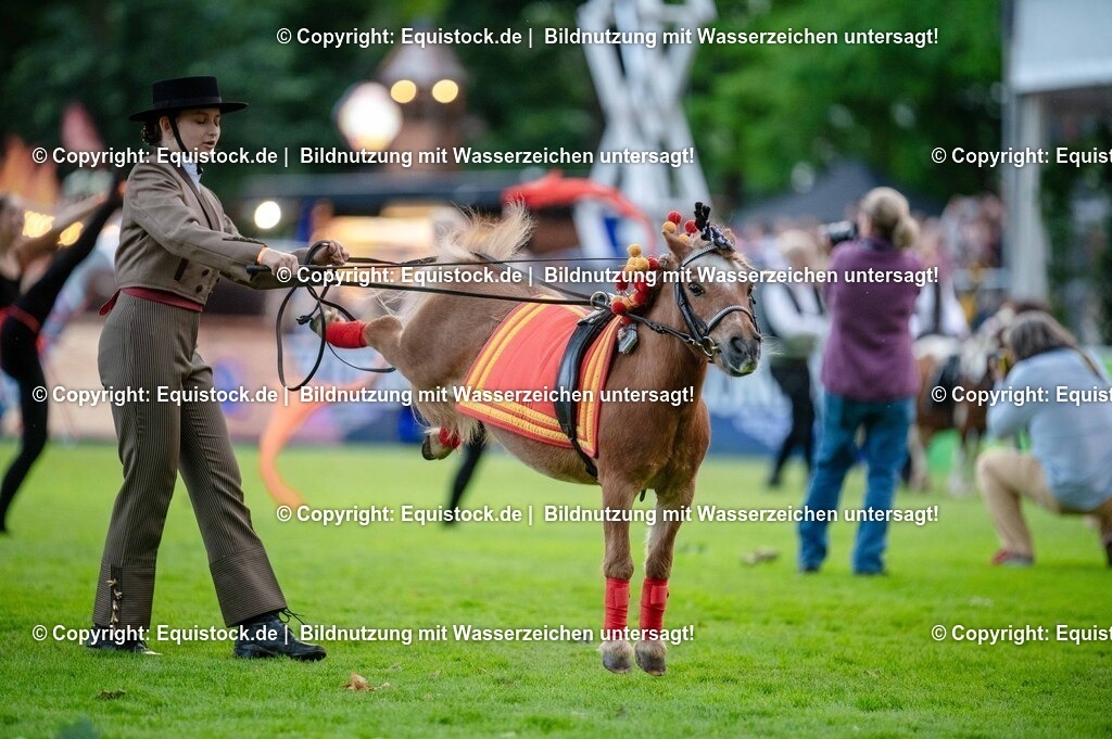 20250606_Lange-Pferdenacht_0635 | Foto: Thomas Hartig