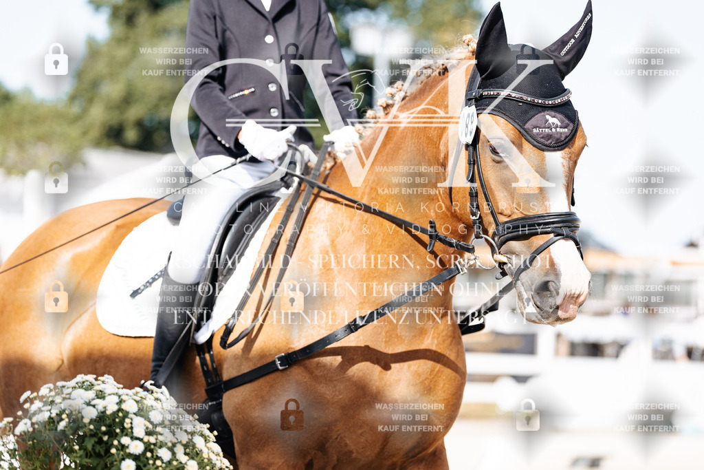 CK905396 | Turnierfotografie Pferdefotografie Trier Rheinland-Pfalz Pferdesport Reitsport Tierfotografie Sportfotografie Pferdevideo Pferdevideografie Equestrianvideography equestrianphotography  - Realisiert mit Pictrs.com