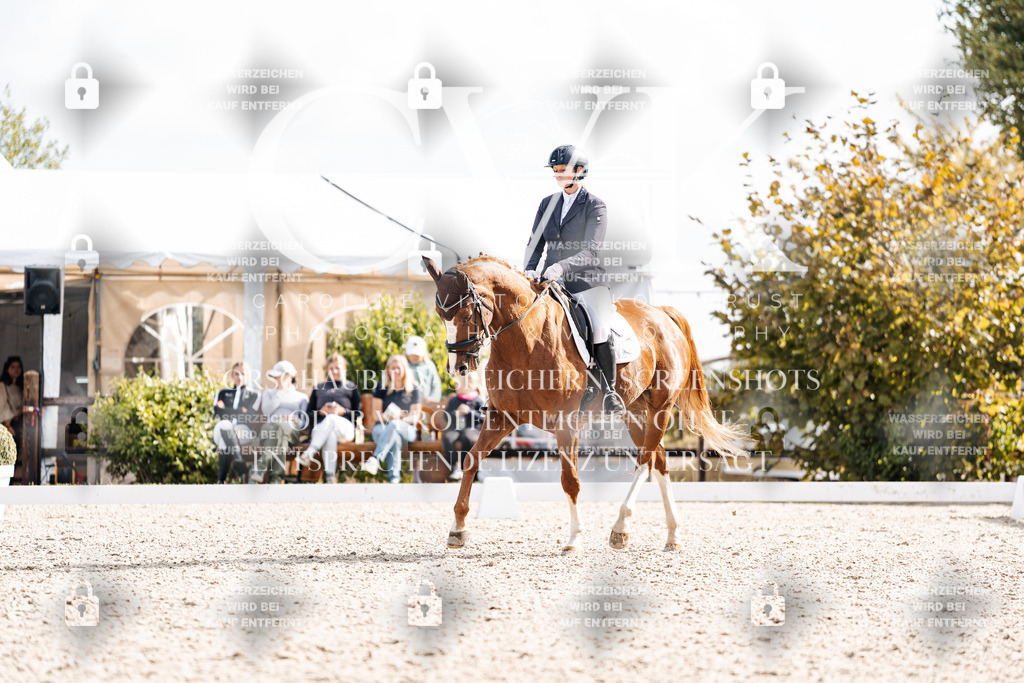 CK901832 | Turnierfotografie Pferdefotografie Trier Rheinland-Pfalz Pferdesport Reitsport Tierfotografie Sportfotografie Pferdevideo Pferdevideografie Equestrianvideography equestrianphotography  - Realisiert mit Pictrs.com
